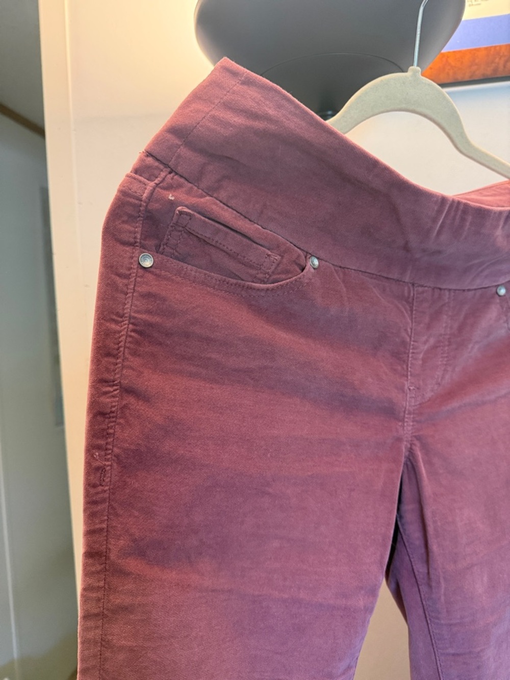 Jag Jeans Women's Skinny Pants in Dusty Mauve